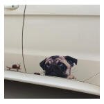 Adesivo Do Cãozinho Frank Mib P/carros Paredes Vidros Note - Imagem 2