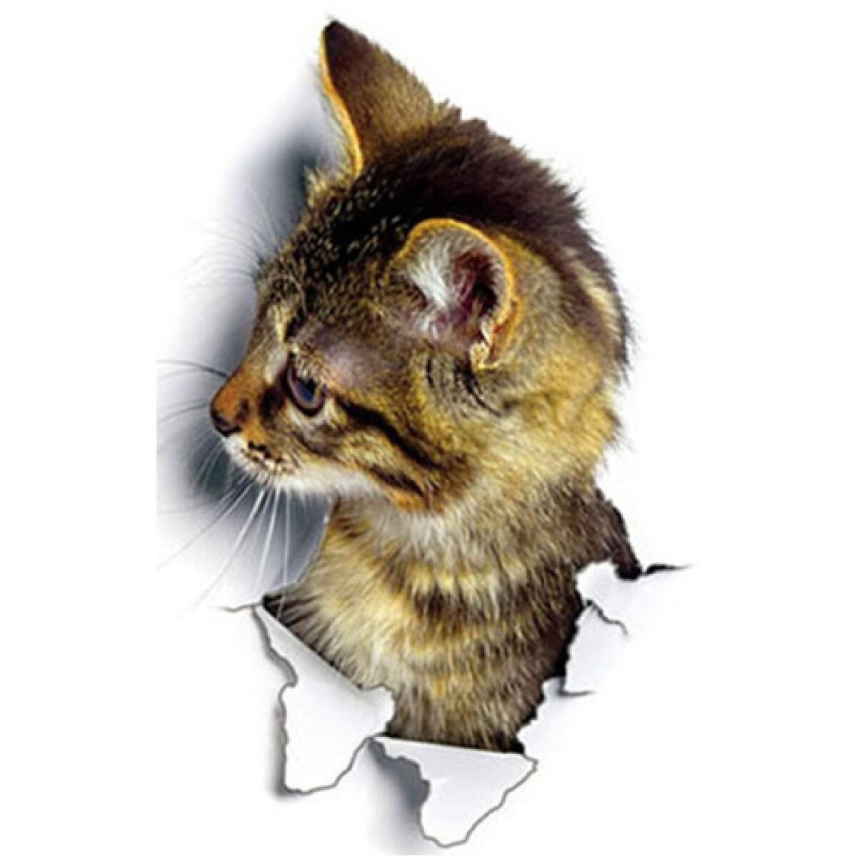 Gatinho 3d Adesivo Pvc 23x16cm Decoração Parede Geladeira - Imagem 4