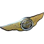Emblema Harley Metal Adesivo Asa 110 A Motor Cycles Davidson