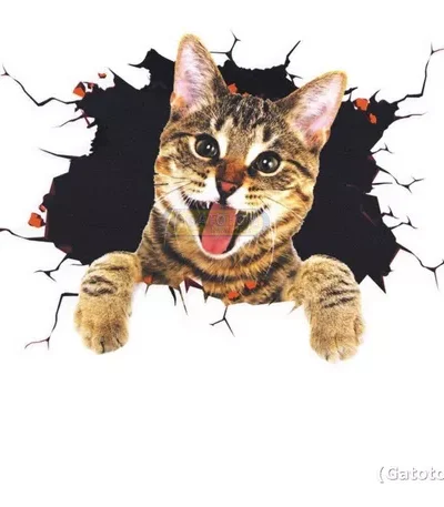Adesivo 3d Gato Gatinho Maroto P/carros Moto Decoração Gatos