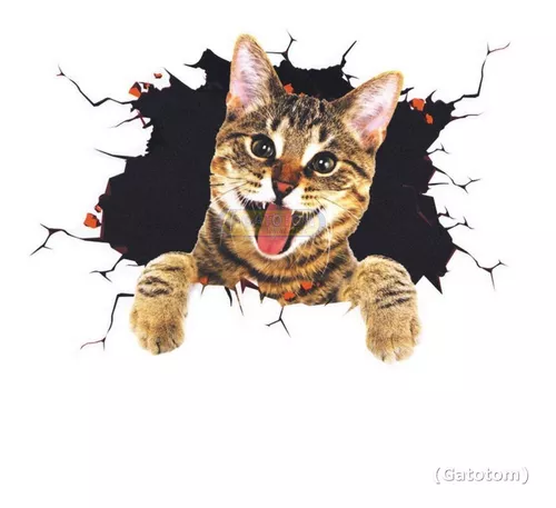 Adesivo 3d Gato Gatinho Maroto P/carros Moto Decoração Gatos