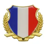 Emblema França France Francês Metal +res 8cm Peugeot Renault